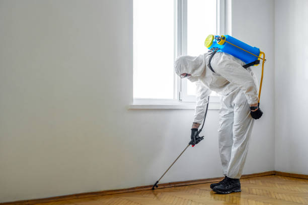 Best Mosquito Control Services  in Gatesville, TX