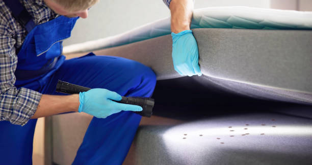Best Affordable Pest Control Services  in Gatesville, TX