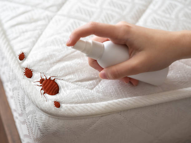 Pest Control Cost in Gatesville, TX